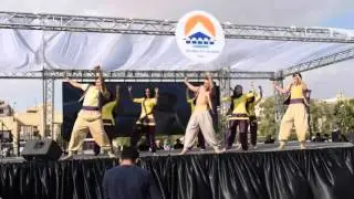 Bollywood Dance - MAX Performance - SHARE TEAM