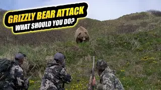 How to Survive A Grizzly Bear Attacks - Madman Review