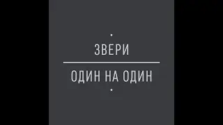 Звери - Облака из папирос (Мой кавер)