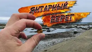 Янтарный берег острова Сахалин.