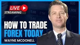 Live Training Every Monday| #forex #trading #stockmarket #gold #bitcoin #crypto