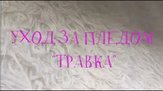 КАК УХАЖИВАТЬ ЗА ПЛЕДОМ 