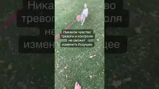 8 августа 2023 г.