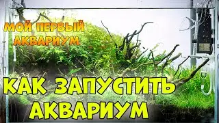HOW TO SET UP AN AQUARIUM CORRECTLY - Aquarium Keeping
