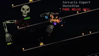 Terraria - Expert Skeletron Pure Melee Kill