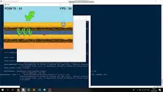 Курсы программирования на Python (Питон) в Могилеве. IT-школа МЕЛА РОССА