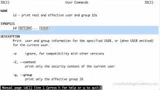 012 Special Variables Pseudocode Command Substitution if Statement Conditionals