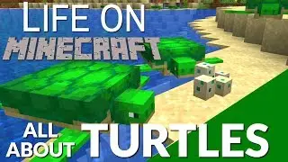 All About the Turtle in Minecraft & Turtle Eggs | How Turtle Eggs Hatch & How to get a Turtle Shell