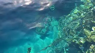 отель Конкорд фронт шарм, кораллы