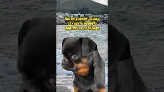 Грустно это всё 