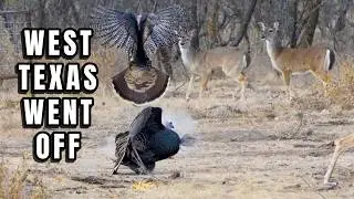 Ultimate West Texas Hunting | Whitetail & Turkey Double