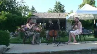 Beethoven Serenade Op. 8: Allegretto alla Polacca