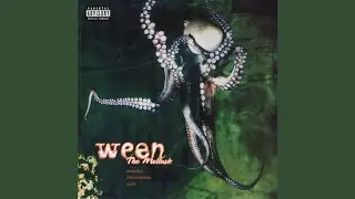 Ween - It's Gonna Be Alright (Alternate Promo Mix) (2024 Fan Remaster HQ)