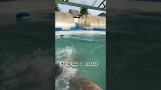 Погода