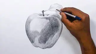 How to Draw Realistic Apple in Pencil step by step