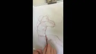 Time Lapse drawing after Raphael Sanzio. Conte on paper.
