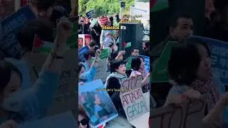 Тебе не обязательно быть мусульманином, чтобы встать на сторону Палестины, нужно быть человеком...