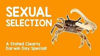 Día Especial de Darwin. ¿Qué es la Selección Sexual?. Evolución.