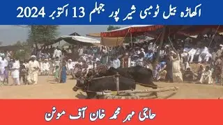Bull Race Shairpur Jhelum 13 October 2024 | Haji Mehar Muhammad khan of Monan