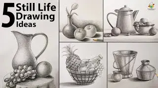 Drawing for Beginners 5 Still Life Easy Step By Step with Pencil Shading