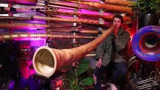 Agave Multidrone Didgeridoo Demo in C# AG013