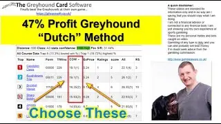 4 runner Dutch selections using the Greyhound Card Software COW method