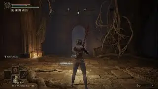 ELDEN RING_Malenia Blade of Miquella vs rl1 with DLC Horned warrior Phantom Ash