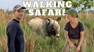 NEPAL UNTOLD - WILDLIFE at Chitwan National Park 🇳🇵