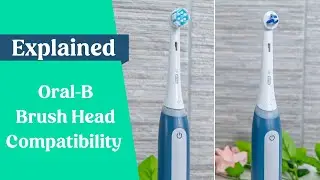 Do All Oral-B Brush Heads Fit To All Oral-B Handles?