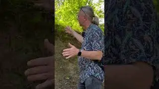Звезда Осиновой рощи