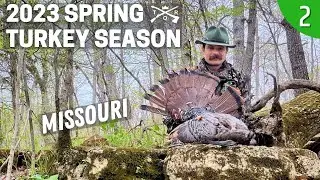 MID DAY GOBBLER | MISSOURI TURKEY HUNTING