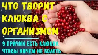 Что творит клюква с организмом: 9 причин есть клюкву, чтобы ничем не болеть…