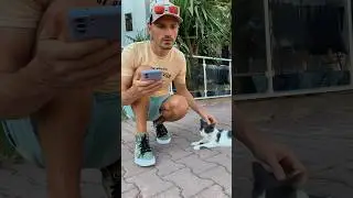 Раскопки / перевел кота используя искусственный интеллект