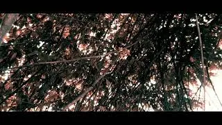 Cinematic Video sederhana...