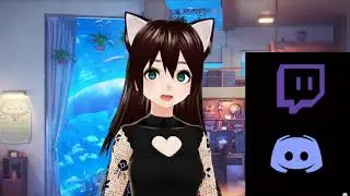 Checkout my Discord and Twitch