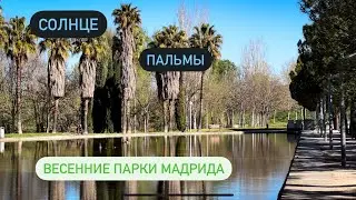 Гуляю в Мадриде. Проездом в Испании, Франции, Германии, Италии. Дальнобой по Европе