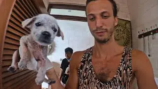OD TÉ DOBY CO JSEM NA BALI ZACHRÁNIL HAPPY, SE DĚJÍ ZÁZRAKY