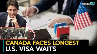 Canadians face the longest waits in the world for U.S. visas