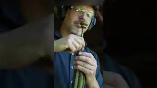 Swiss military sharpshooting rifle M1842 #capandball #blackpowder #muzzleloading #percussion