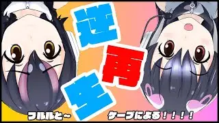 【コラボ】逆再生！？【新人VTuber/ケープペンギン/フンボルトペンギン】