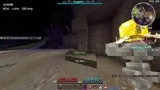 Wynncraft - TNA live stream