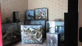 Preserved in a State of Decay - Calke Abbey, Derbyshire