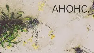 Память для ожидания (Анонс к фильму. Реж. Павел Черкасов) / 2020 #nedmorphis