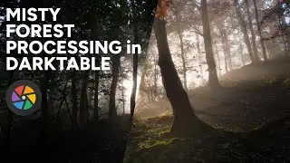 Processing Misty Forests in Darktable - Landscape Tutorial #17