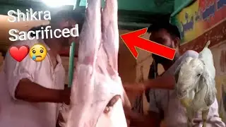 || Bakra Eid Mubarak to All of You ❤️ | Shikra Sacrificed 🐐😢 | #goat @muhammadrezamixchannel ||