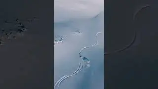 Day for it 🦇 Kamchatka #snowboarding