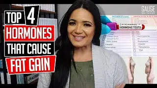Top 4 Hormones That Cause Fat Gain │ Gauge Girl Training