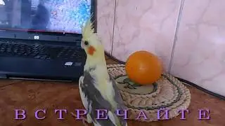 От чего