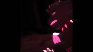 🐈‍⬛Scourge killed Tigersrar🐯