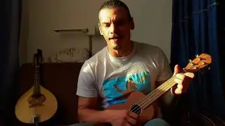 Lemn norvegian, cover The Beatles/Alexandru Andrieș